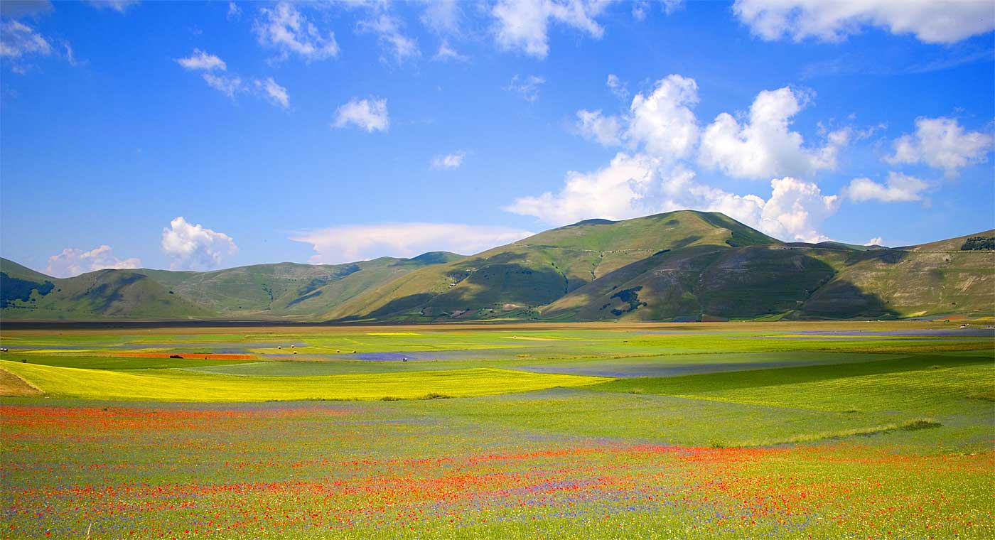 Prodotti Castelluccio di Norcia 4 dummy